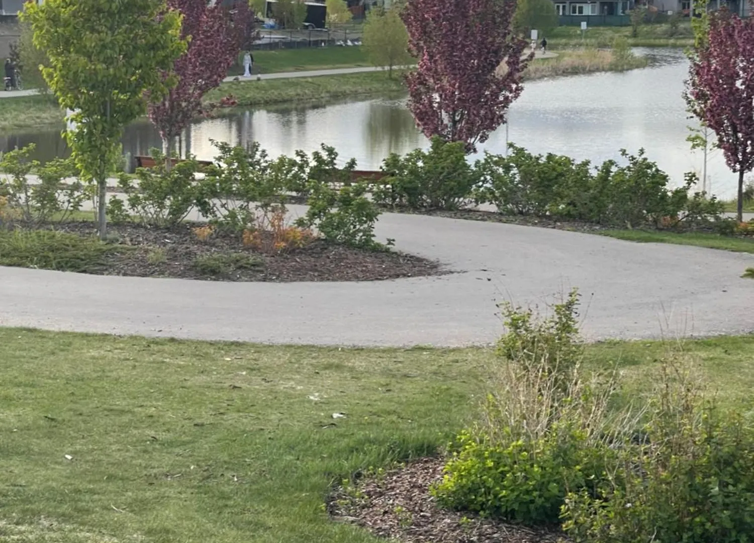 Apartment Comfy 2 Bedroom Suite Getaway Edmonton